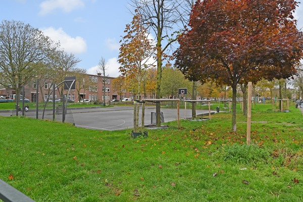 Medium property photo - Pasteurstraat 124, 2522 RN Den Haag